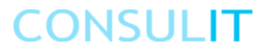 Consulit Logo 2019